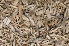 biomass boilers Magor